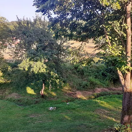 Predah Banja Vrujci * Gornja Toplica