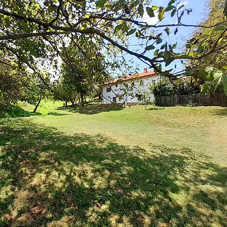 Predah Banja Vrujci Apartment *